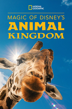 Magic of Disney's Animal Kingdom