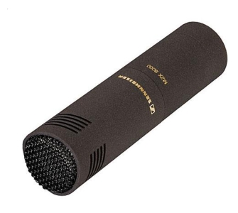 Sennheiser MKH8050 Shotgun Microphone